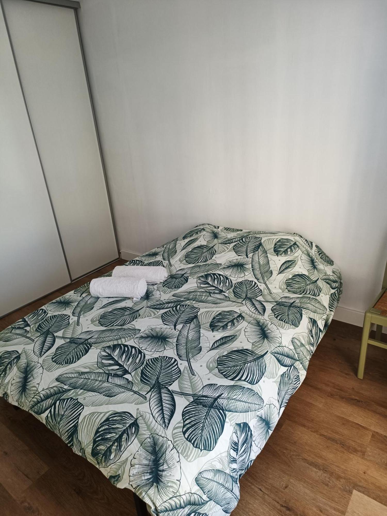 Appartement Proche Centre Ville / 3 Chambres Perpignan Zewnętrze zdjęcie